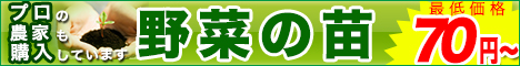 野菜の苗の購入はグリーン・レバレッジ オンラインショップ